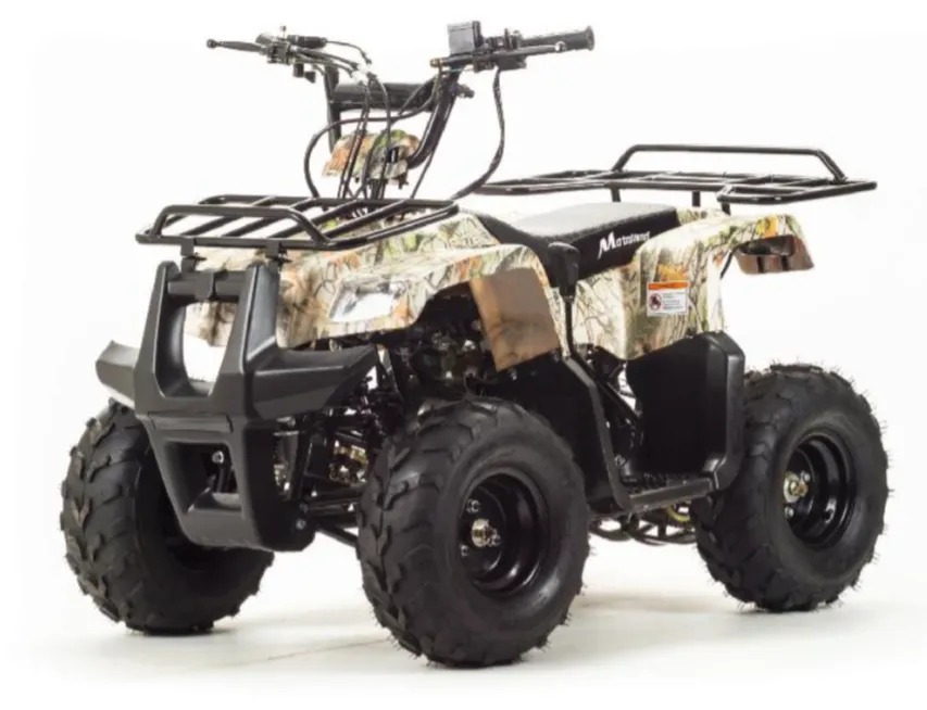 Квадроцикл MOTOLAND (МОТОЛЕНД) 110 RIDER